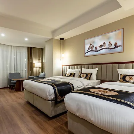 Grand Hamit By Karadayi Airport Hotel 4*